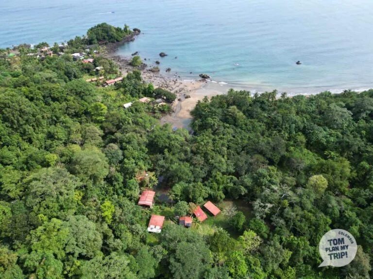 Homes nestled into the jungle, spaced far apart · casas integradas en la selva